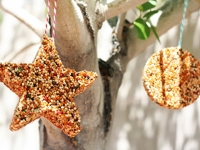 eighteen25 Beautiful Bird Feeders